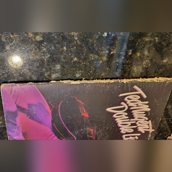 Collection of Original Ted Nugents Records - Picture 4 of 12